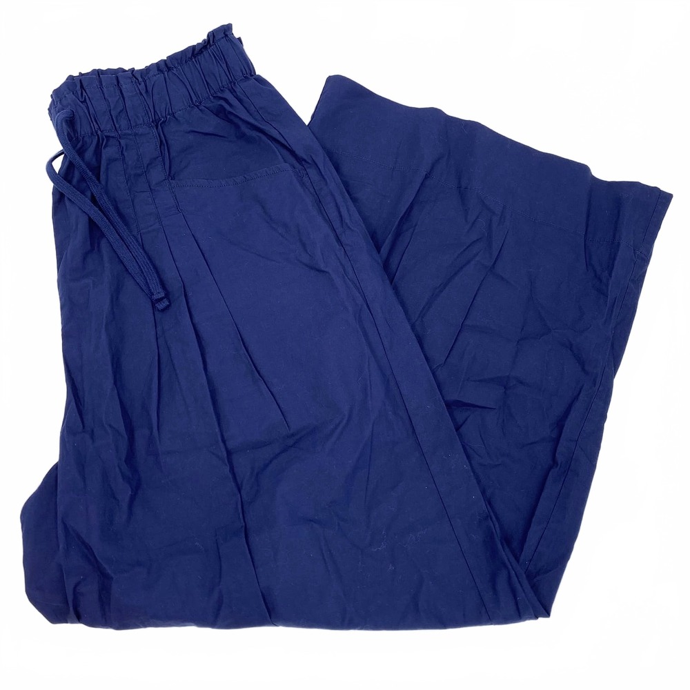 Maeve Blue Pleated Wide Leg Pants | Womens L